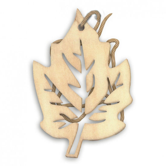 Obrázok K2 Osviezovac vzduchu zavesny Woody Leaf…