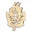 Obrázok K2 Osviezovac vzduchu zavesny Woody Leaf…
