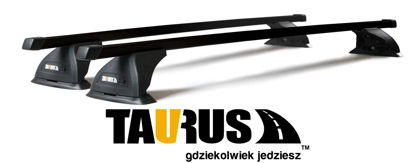 Obrázok Taurus CarryUp hliníkový lúč 120cm