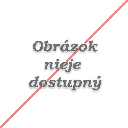 Obrázok Batéria BANNER 12V/74Ah/680A