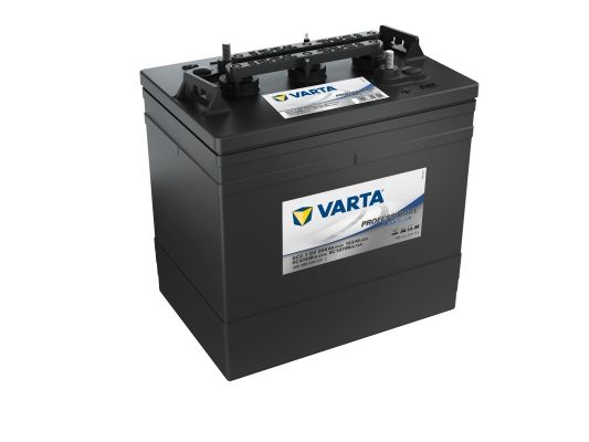 Obrázok Napájacia batéria VARTA Professional Deep Cycle 6V/208Ah