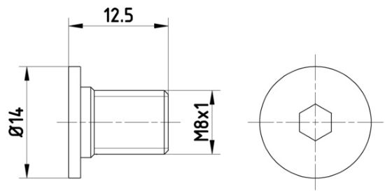 Obrázok Skrutka brzdového kotúča TEXTAR  TPM0002