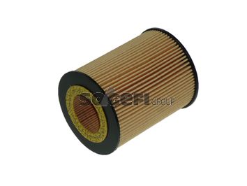 Obrázok Olejový filter FRAM  CH8081ECO