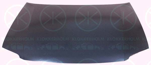 Obrázok Kapota motora KLOKKERHOLM  9539281