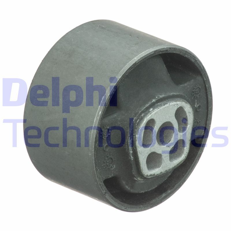 Obrázok Ulożenie motora DELPHI  TEM089