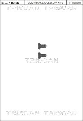 Obrázok Skrutka brzdového kotúča TRISCAN  8105116006