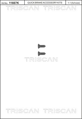 Obrázok Skrutka brzdového kotúča TRISCAN  8105116008