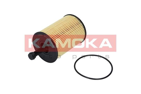 Obrázok Olejový filter KAMOKA  F100901