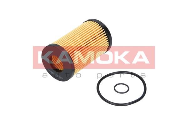 Obrázok Olejový filter KAMOKA  F105301