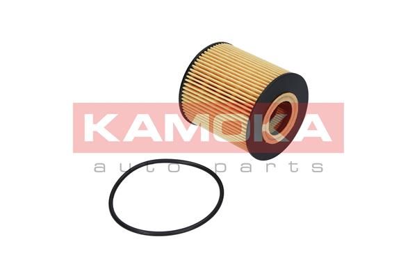 Obrázok Olejový filter KAMOKA  F107001