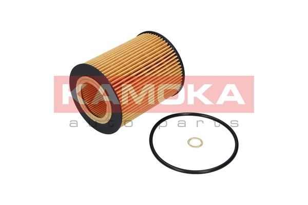Obrázok Olejový filter KAMOKA  F107201