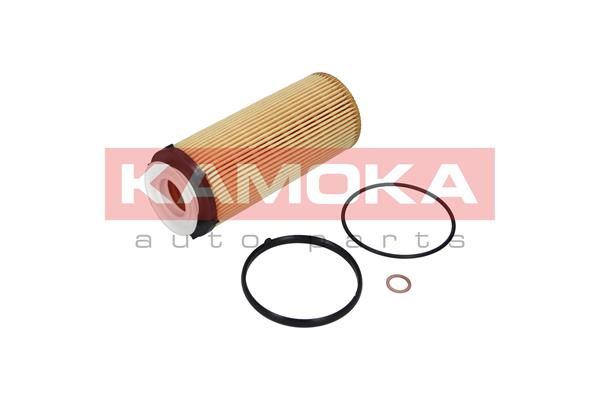Obrázok Olejový filter KAMOKA  F110801