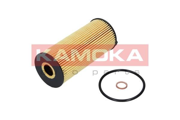 Obrázok Olejový filter KAMOKA  F110901