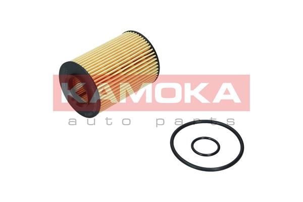Obrázok Olejový filter KAMOKA  F119601