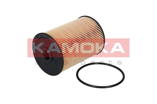 Obrázok Palivový filter KAMOKA  F307801