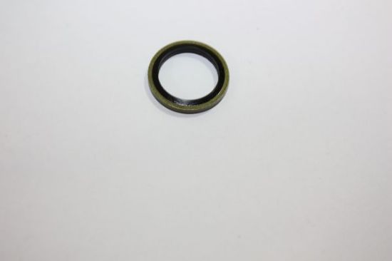Obrázok Tesniaci krúżok, vypúżżacia skrutka oleja AUTOMEGA  190041510