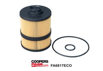 Obrázok Olejový filter CoopersFiaam  FA6817ECO